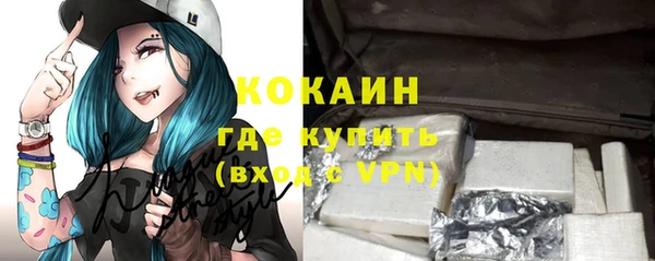 ГАЛЛЮЦИНОГЕННЫЕ ГРИБЫ Гусев