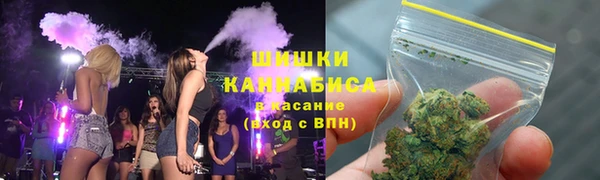 ГАЛЛЮЦИНОГЕННЫЕ ГРИБЫ Гусев