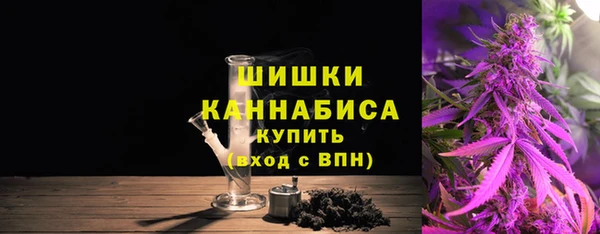 мдпв Гусь-Хрустальный