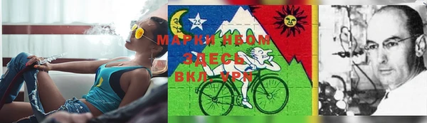 ГАЛЛЮЦИНОГЕННЫЕ ГРИБЫ Гусев