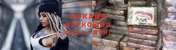 гидра Слюдянка