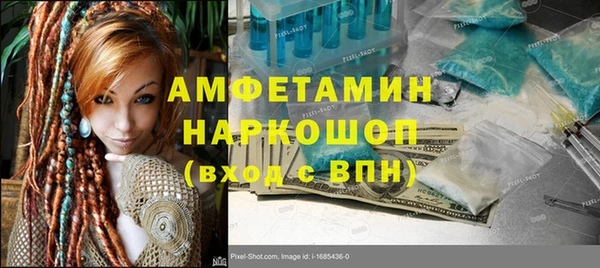 ГАЛЛЮЦИНОГЕННЫЕ ГРИБЫ Гусев