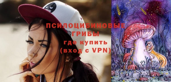 мдпв Гусь-Хрустальный