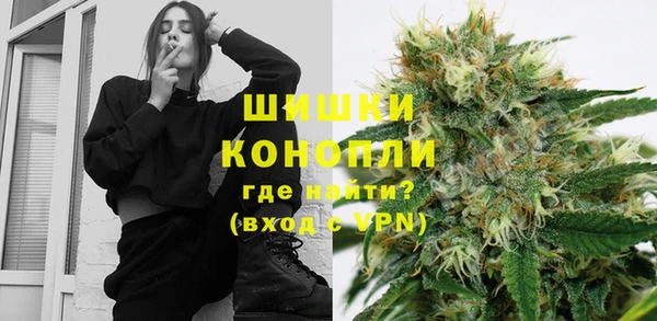 мдпв Гусь-Хрустальный