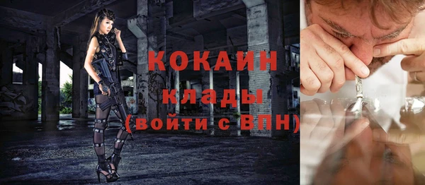 мдпв Гусь-Хрустальный