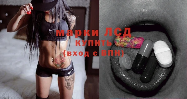 ГАЛЛЮЦИНОГЕННЫЕ ГРИБЫ Гусев