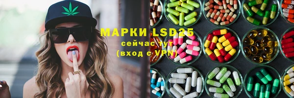 ГАЛЛЮЦИНОГЕННЫЕ ГРИБЫ Гусев