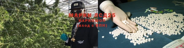 ГАЛЛЮЦИНОГЕННЫЕ ГРИБЫ Гусев