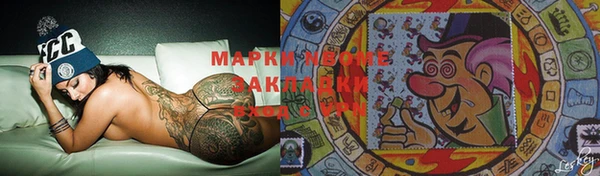 ГАЛЛЮЦИНОГЕННЫЕ ГРИБЫ Гусев